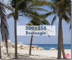 Sample Ad 300x250