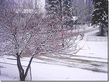Snowy Day 4-30-08