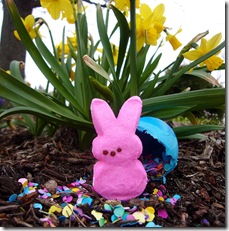 Easter Peeps Lin Pernille Photography