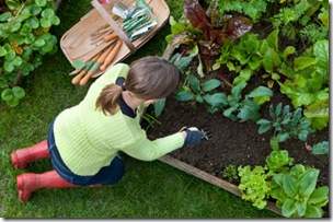 Frugal Gardening Frugal Gardening
