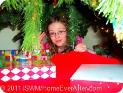 We're Getting Ready for Christmas: Choose Your Favorites in Our Holiday Poll!