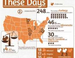 History of Thanksgiving Turkey Dinner (Deer&ndash;Really?) [Infographic]
