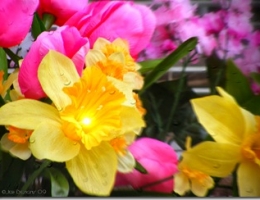 13 Ways to Let Spring Into Your Home Today!