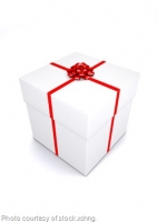 Start Doing Surveys For Christmas Money!