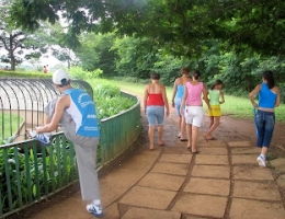 Dealing With High Fuel Prices (Part 3): Walking to Work