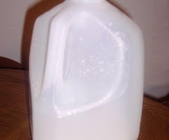 The House That Milk Jugs Built