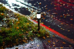 Picture This: Suburbia on a Rainy Night