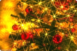 Host a Stress Free Christmas This Year