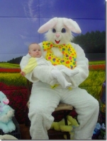 Free Pictures with the Easter Bunny at Walmart April 2010