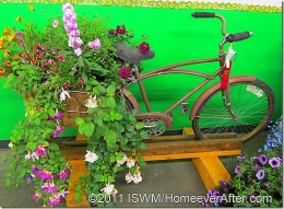 Summer Eye Candy: Pedaling for Petals!