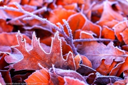Winter Eye Candy: The Changing of the Seasons