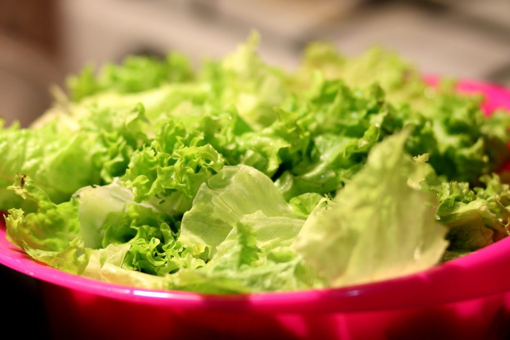 How to keep lettuce fresh