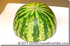 Halloween Watermelon Brain (1)-web